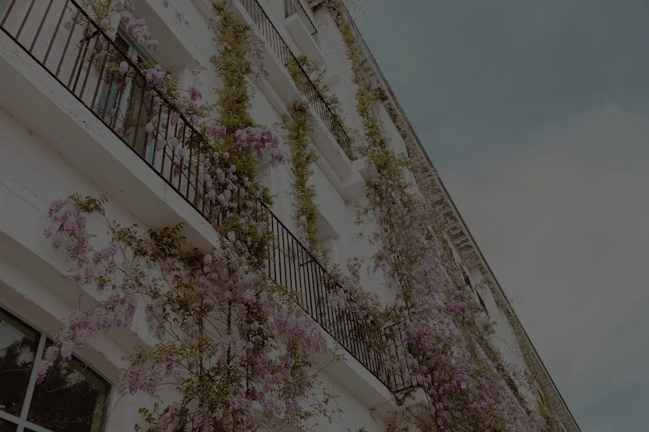 Enhancing Your Outdoor Space-Feng Shui Ornaments for Gardens and Balconies
