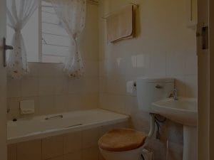 Essential Feng Shui Items for Small Apartments-Maximize Your Space
