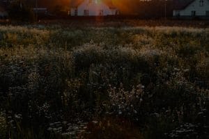 Essential Feng Shui Tips for a Peaceful and Productive Home Environment