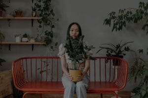 Feng Shui Crystals-How to Choose the Right One for Your Space