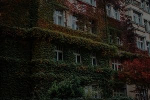 Feng Shui Decor-Essential Tips for Creating a Harmonious Living Environment