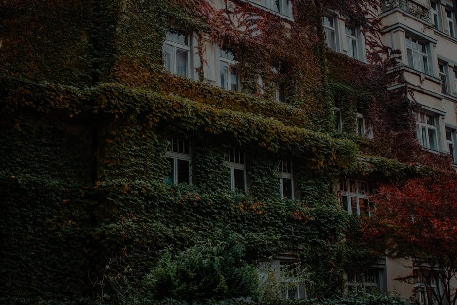 Feng Shui Decor-Essential Tips for Creating a Harmonious Living Environment