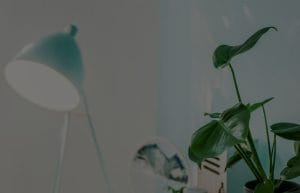 Feng Shui Decor Tips for a Calming Home Office Environment