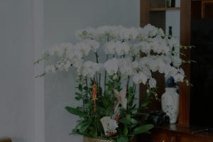Feng Shui Energy Ornaments-A Guide to Attracting Abundance and Prosperity