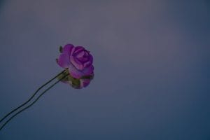 Feng Shui Energy Ornaments-Elevate Your Outdoor Spaces for Serenity