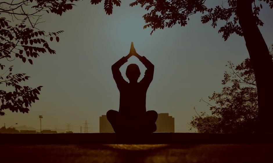 Feng Shui Energy Ornaments for Beginners-A Guide to Creating Balance