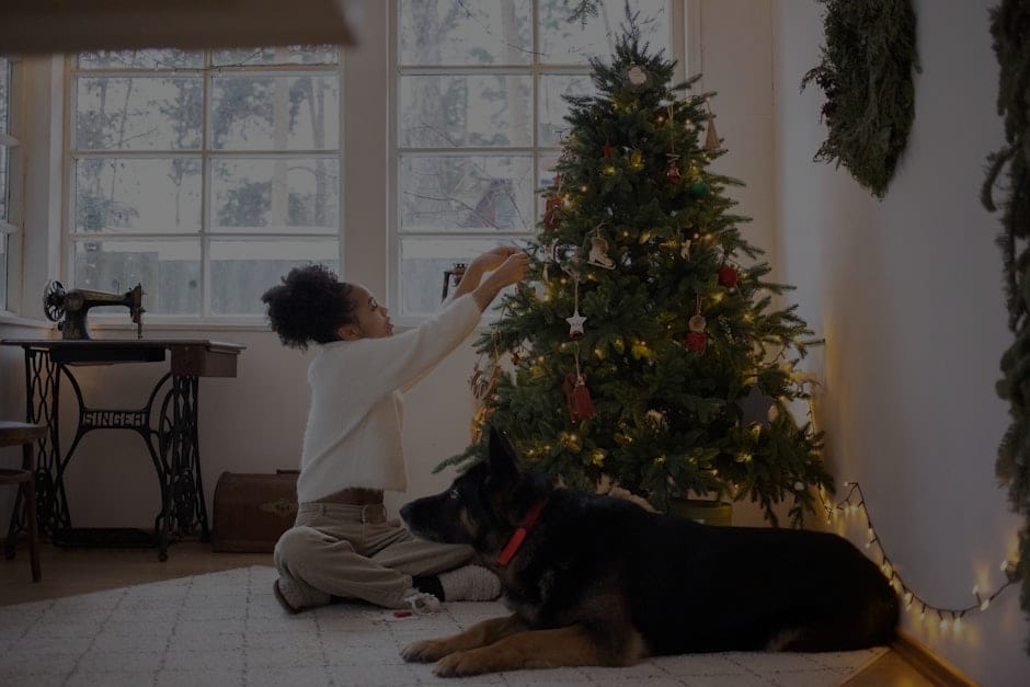 Feng Shui Energy Ornaments for Pet Owners-Creating a Harmonious Home