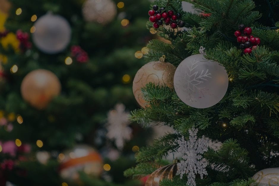 Feng Shui Energy Ornaments for Seasonal Changes-What You Need to Know