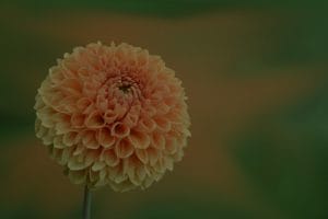 Feng Shui Energy Ornaments-Your Secret Weapon for Personal Growth