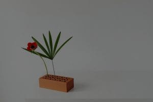 Feng Shui for Beginners-Essential Ornaments to Balance Your Home