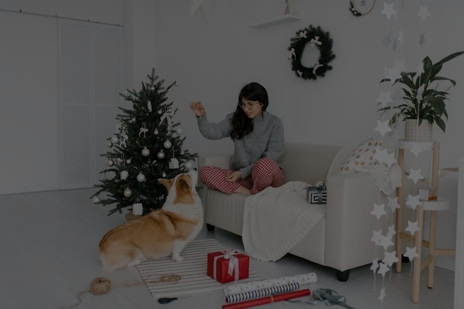 Feng Shui for Beginners-How to Select Ornaments for Your Home
