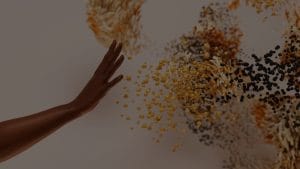 Feng Shui for Beginners-Understanding the Basics of Energy Flow