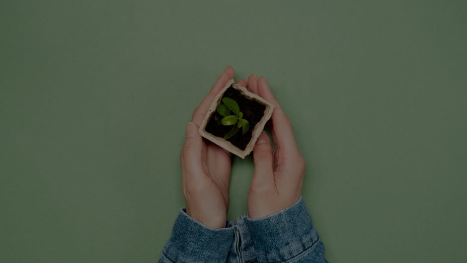 Feng Shui for Families-Creating a Nurturing Environment with Ornaments