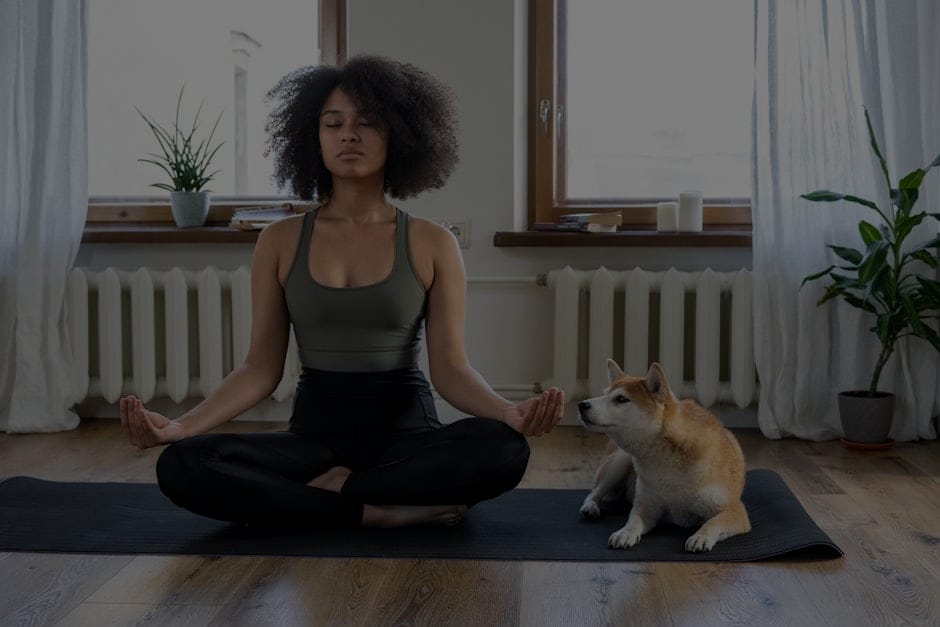 Feng Shui for Health-Ornaments to Promote Wellness in Your Home