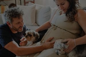 Feng Shui for Pet Owners-Energy Items to Create a Happy Home for Pets