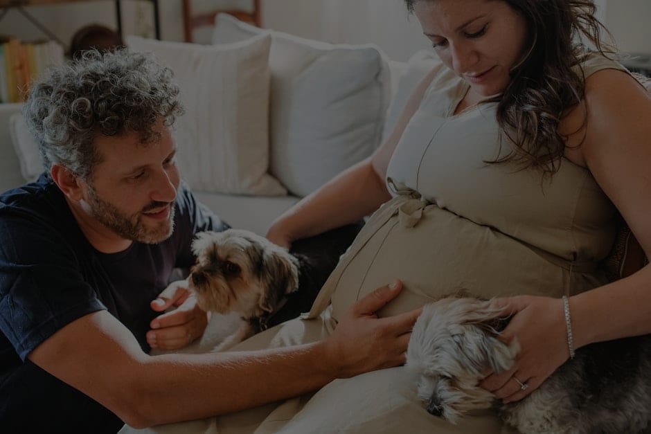 Feng Shui for Pet Owners-Energy Items to Create a Happy Home for Pets