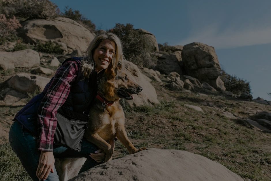 Feng Shui for Pet Owners-Energy Ornaments to Enhance Your Pet's Well-Being