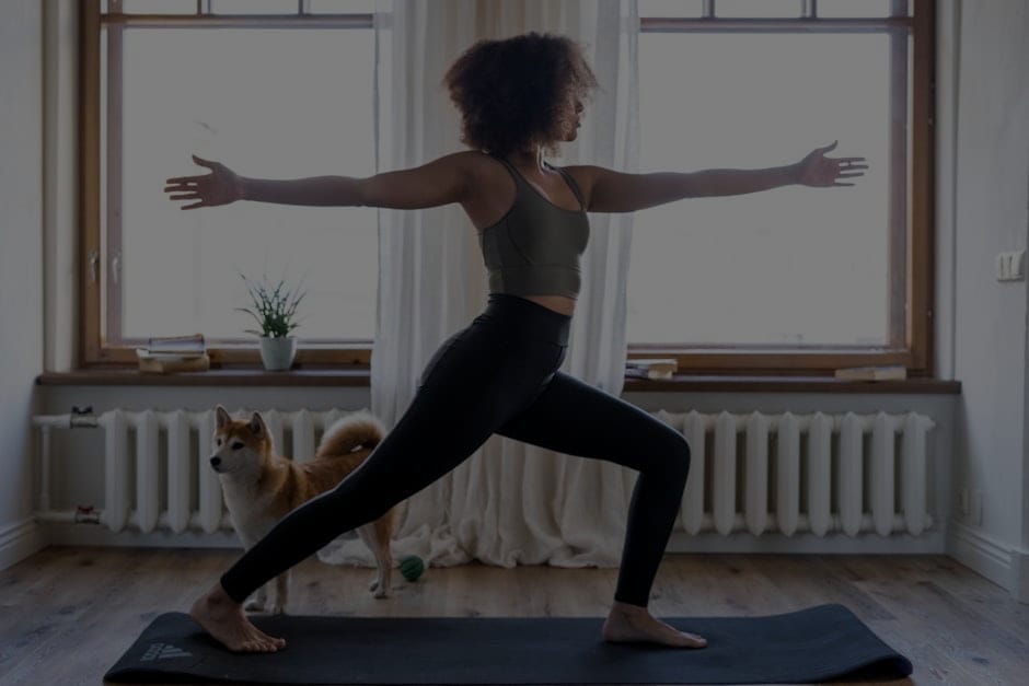Feng Shui for Pet Owners-Enhancing Your Home's Energy with Animal Symbols