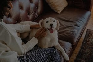 Feng Shui for Pet Owners-Ornaments That Promote Harmony for You and Your Pets
