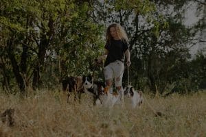 Feng Shui for Pet Owners-Ornaments to Create a Harmonious Environment for Your Pets
