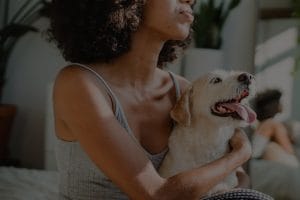 Feng Shui for Pets-Energy Ornaments to Create a Happy Home for Your Furry Friends