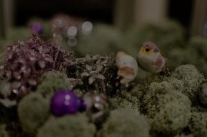 Feng Shui for Your Garden-Energy Ornaments to Attract Nature