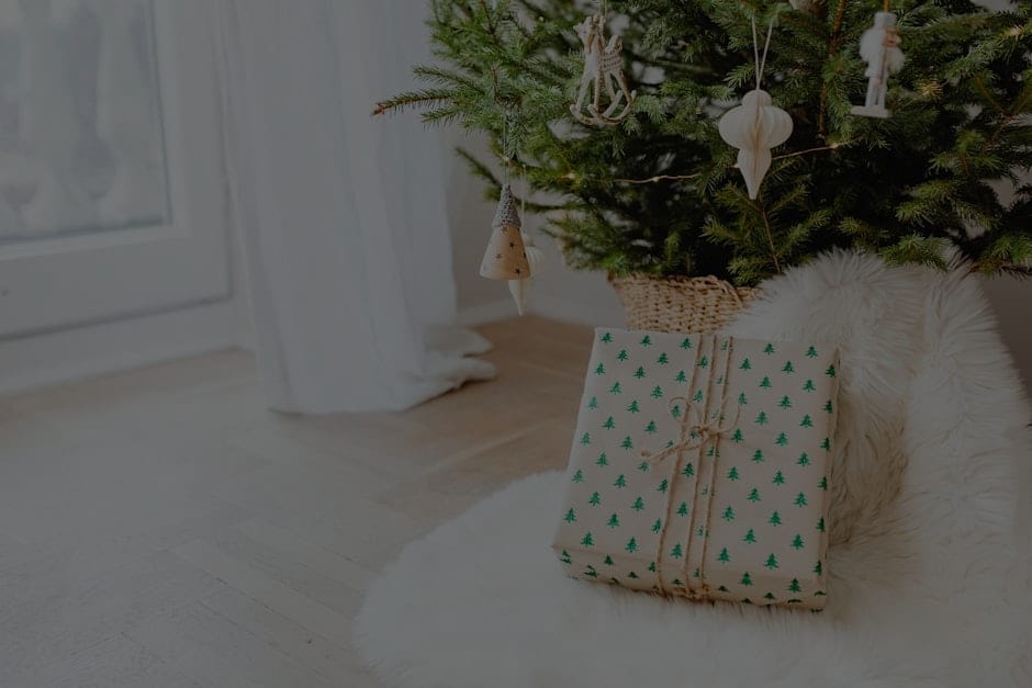 Feng Shui Ornaments for Beginners-Easy Ways to Improve Your Space