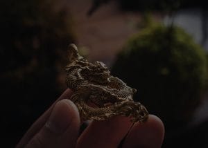 Feng Shui Ornaments for Beginners-Where to Start