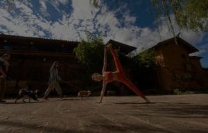 Feng Shui Ornaments for Health-Enhance Well-being in Your Living Space