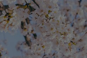 Feng Shui Ornaments for Seasonal Changes-Keeping Your Energy Fresh