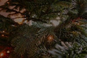 Feng Shui Ornaments for Seasonal Decor-Aligning with Nature's Energy
