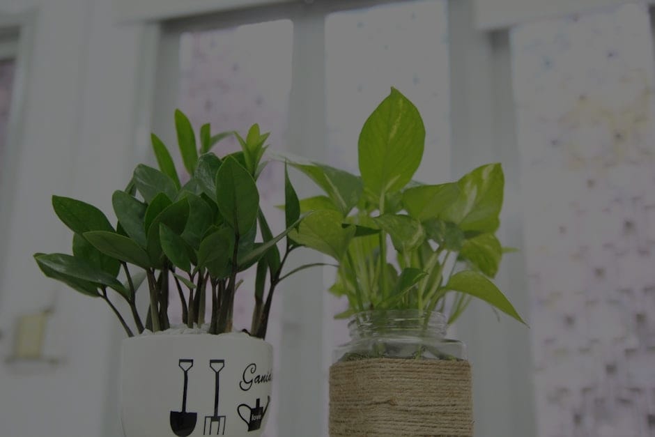 Feng Shui Ornaments-Key Items for a Balanced Living Environment