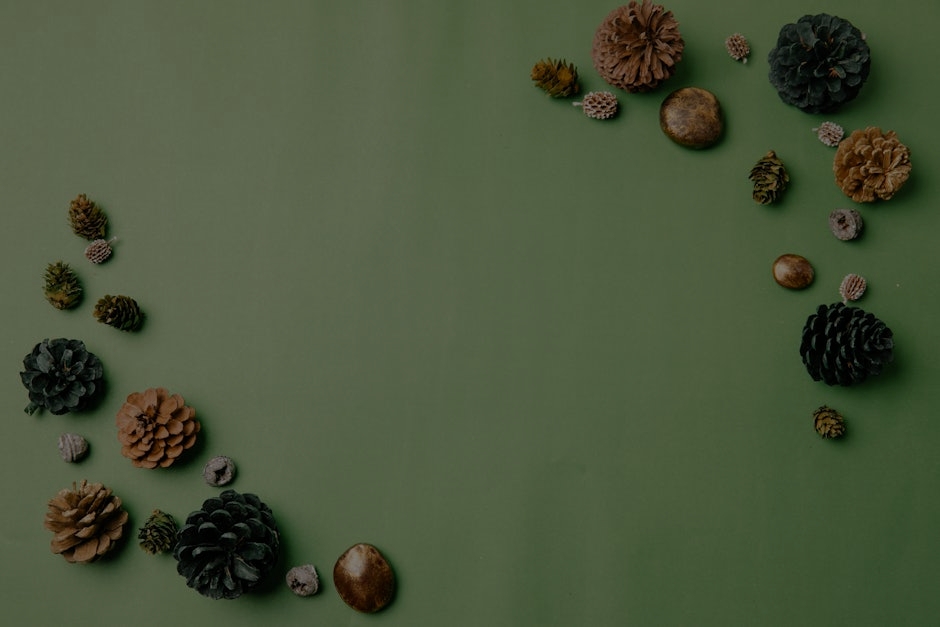 Feng Shui Tips-Best Ornaments for Creating a Peaceful Living Environment
