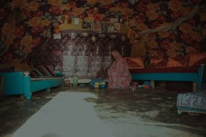 Feng Shui Tips for Beginners-Choosing the Right Energy Ornaments for Your Space