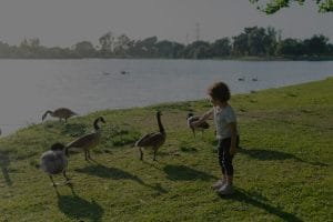 Feng Shui Tips for Creating a Balanced Family Environment