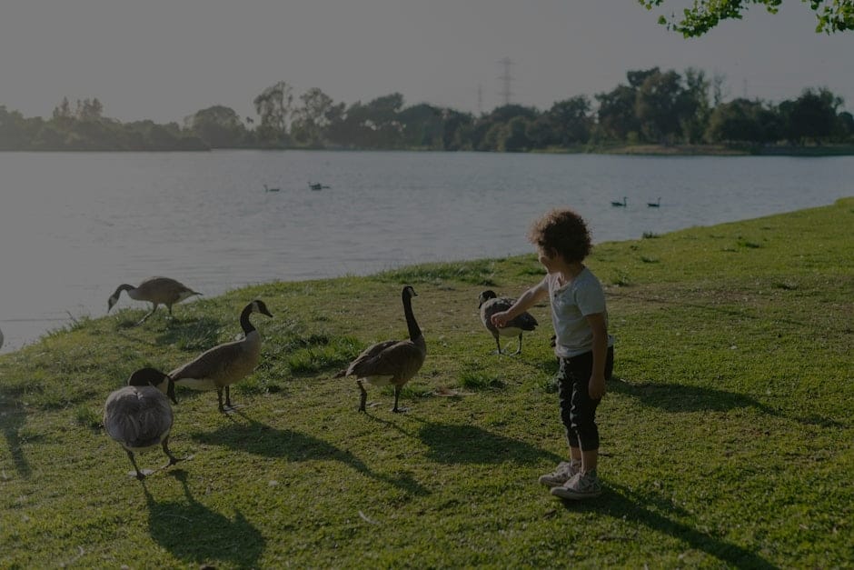 Feng Shui Tips for Creating a Balanced Family Environment