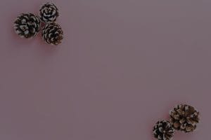 Feng Shui Tips for Renters-Affordable Ornaments to Enhance Your Space