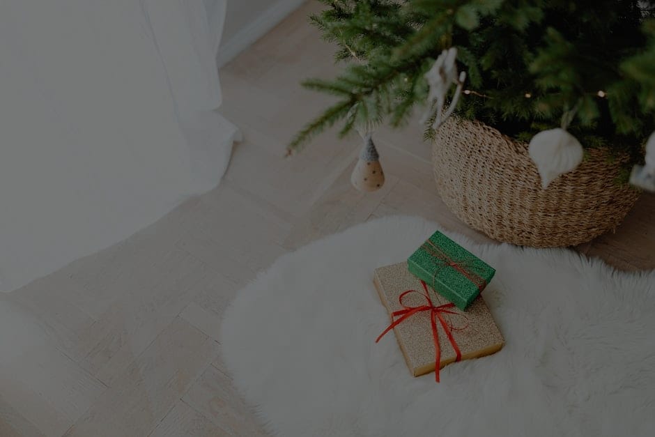Feng Shui Tips-How to Choose the Right Ornaments for Your Home