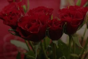 Feng Shui Tips-Ornaments That Attract Love and Romance