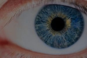 Find Clarity and Focus-Feng Shui Items for Mental Clarity