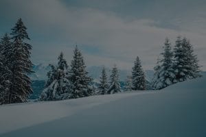 Find Your Zen-Top Feng Shui Items for Stress Relief and Relaxation