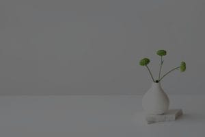 Finding Balance-Essential Feng Shui Ornaments for a Harmonious Home