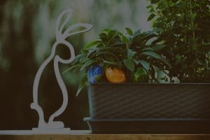 Gift Ideas-Feng Shui Ornaments for Friends and Family That Promote Good Fortune
