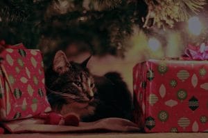 Harmonize Your Home-The Role of Color in Feng Shui Ornaments