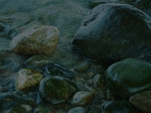 Harnessing Nature-Feng Shui Crystals and Ornaments for a Calming Environment