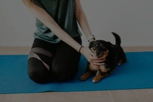 Harnessing Positive Energy-Feng Shui Practices for Small Apartments