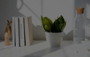 How Feng Shui Ornaments Can Enhance Your Home Office Productivity