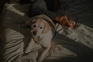How to Choose the Right Feng Shui Items for Your Bedroom for Better Sleep