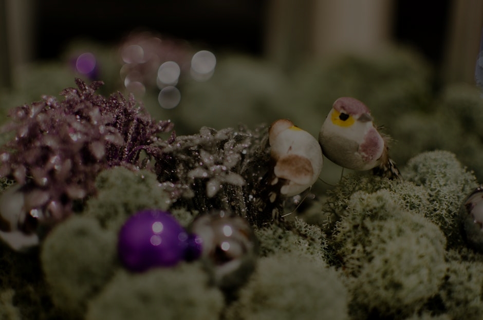 How to Choose the Right Feng Shui Ornaments for Your Garden
