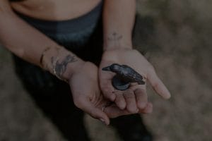 How to Select Feng Shui Crystals for Personal Growth